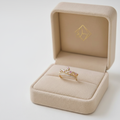 Anillo corona en caja fondo limpio