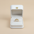 Anillo princess pavé degradado en caja beige