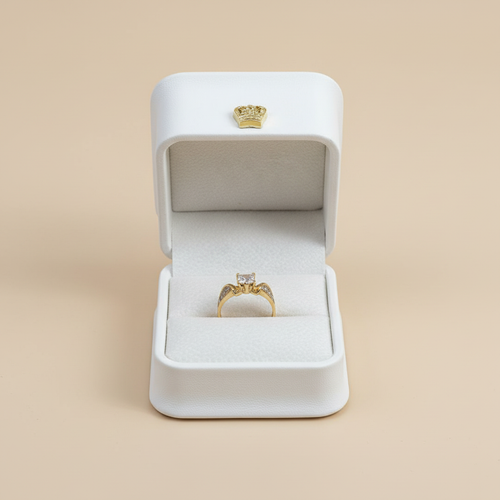 Anillo princess pavé degradado en caja beige