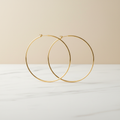Aretes de aro grandes - foto de catálogo