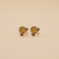Aretes de mariposa fondo beige minimalista