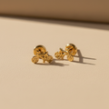 Aretes de oro con fondo beige profesional
