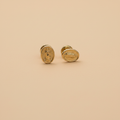 Aretes medallón ovalado profesional