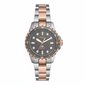 Fossil Blue fondo blanco