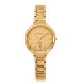 Reloj D'Mario Dorado Champagne – Producto